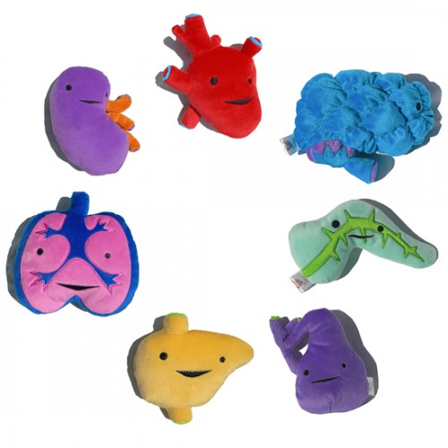 pancreas stuffed animal