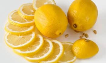 lemons cut into slices on the counter