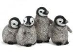 King penguin chicks