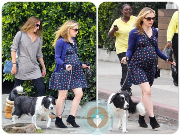Anna Paquin Strolls With Her Pooch in LA!