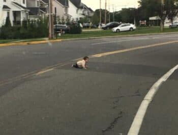 baby crawling across Joe Parker Road in Lakewood