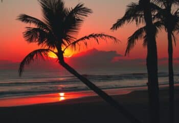 beautiful backlit caribbean beach