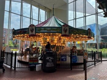 The Strong National Museum of Play - carousel