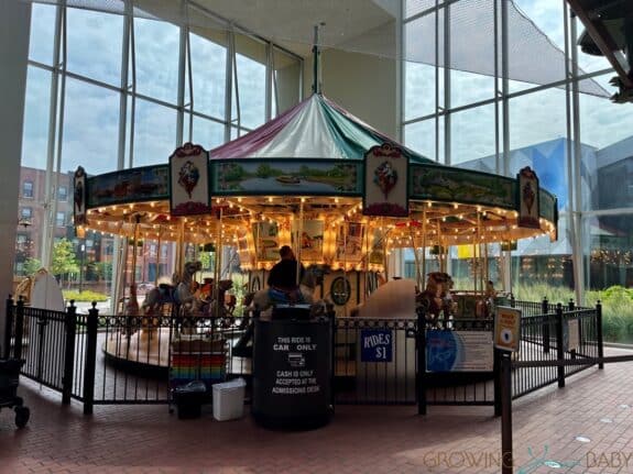 The Strong National Museum of Play - carousel