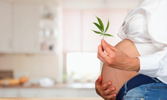 pregnant cannabis