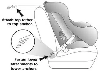 The New 65 Pound LATCH Rule ~ What Does It Mean For you?