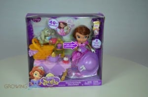 Sofia The First Tea Party Picnic - packaging