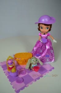 Sofia The First Tea Party Picnic - the whole set